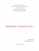 Bienestar y Madurez Fetal
