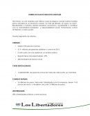 DISEÑO DE PLAN DE NEGOCIOS DIGITALES