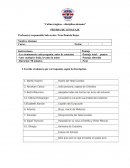 Cultura inglesa...disciplina alemana