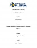 Resumen Características Básicas, Evolución y Composición Tributaria