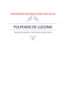 PRACTICA DE PULPEADO DE LUCUMA