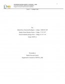 Fase V – Trabajo Final