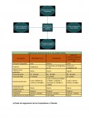 PRINCIPALES CARACTERISTICAS DE LOS COMPETIDORES