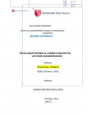 TÍTULO (ADAPTACIONES AL CAMBIO CLIMATICO EN LOS PAISES SUDAMERICANOS)