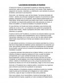 Cuales son Los Bienes Terrenales del Hombre