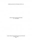 COMERCIALIZACION DE ARTESANIAS ZAFIRO S.A.S.