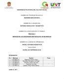 PRACTICA 1 MEDICION DE LAS PROPIEDADES MECANICAS DE LOS MATERIALES