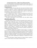 Termogravimetría (TG) y Análisis Técnico Diferencial (DTA)