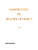 PLANIFICACIÓN DE CIENCIAS NATURALES