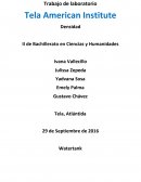 Fisica elemental, informe de laboratorio