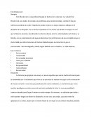 Erin Brockovich Sinopsis