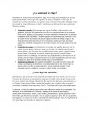 ¿La amistad se elige?