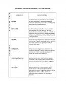 RESUMEN DE LOS TIPOS DE DIAGRAMAS Y SUS CARACTERISTICAS