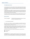 MARCO TEORICO Investigaciones previas