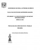 PSICOLOGIA DEL MEXICANO EN EL TRABAJO RESUMEN