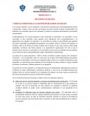 PROYECTO N° 1 RECURSOS NACIONALES