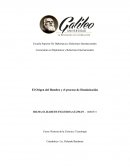 El Origen del Hombre y el proceso de Hominización