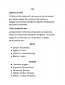 Características del C40