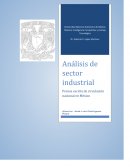 Análisis estructural del sector industrial: Prensa escrita de circulación nacional