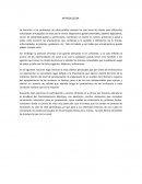 La importancia del proceso de esterilizacion