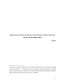 REORGANIZACIÓN DE SOCIEDADES CONCURSADAS: OPORTUNIDAD DE CONTINUIDAD EMPRESARIAL