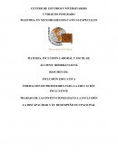 TRABAJO DE LAS INSTITUCIONES HACIA LA INCLUSIÓN LA DISCAPACIDAD Y EL DESEMPEÑO OCUPACIONAL