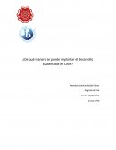 ¿De qué manera se puede implantar el desarrollo sustentable en Chile?