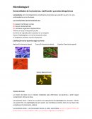 Microbiologia II Generalidades de las bacterias, clasificación y pruebas bioquímicas