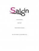 ESTUDIO FINANCIERO CARO SALON