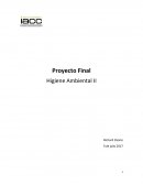 Proyecto final higiene ambiental 2