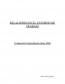 RELACIONES EN EL ENTORNO DE TRABAJO Evaluación Extraordinaria Junio 2002