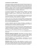 La educación en el jardín maternal