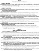 INTRODUCCION AL DERECHO CONSTITUCIONAL