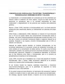 HOMOSEXUALIDAD, BISEXUALIDAD, TRAVESTISMO, TRANSGENERIDAD Y TRANSEXUALIDAD: DERRUMBE DE MITOS Y FALACIAS