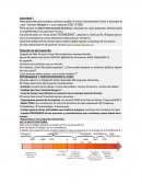 Ttarea 1 "Análisis del Caso Camisas Ranger's"