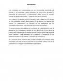 Ser humano en armonia con su entorno