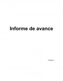Informe de Avance