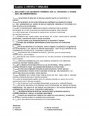 Cual es el Template de Trabajo en Grupo