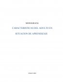 Como es el Adulto en situaciones de aprendizajes