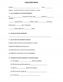 Prueba de los verbos, segundo basico