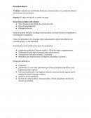 Conjunto de actividades humanas, remuneradas o no, producen bienes o servicios en una economía