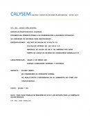 POR MEDIO DEL PRESENTE PONGO A SU CONSIDERACION LA SIGUIENTE COTIZACION :