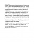 Ensayo La Clonacion humana