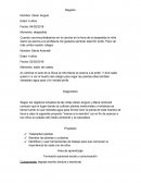 Ensayo El huerto (proyecto)