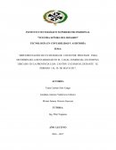 IMPLEMENTACIÓN DE UN SISTEMA DE COSTO POR PROCESOS PARA DETERMINAR LA RENTABILIDAD EN EL LOCAL COMERCIAL CELESTIPAN, UBICADO EN LA PROVINCIA LOJA CANTÓN CATAMAYO