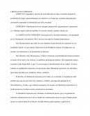 LIBERTAD DE EXPRESION - Resumen
