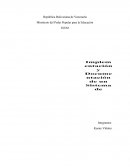 La gran Implementacion de un SISTEMA DE INFORMACION GERENCIAL