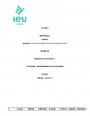 EL NUEVO CRONOGRAMA DE ACTIVIDADES