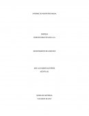 CUALES SON LOS SISTEMAS DE INFORMACIÓN EN LOS CENTROS DE DISTRIBUCIÓN INFORME TECNICO