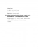 Caso Practico: Social Media SPANAIR